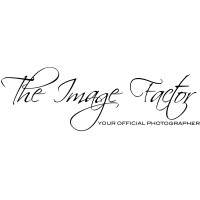 The Image Factor logo - Similar company to Instyle Linen