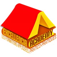 Excellencia Academy logo - Similar company to Ds Partners