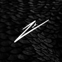 Zeesh logo - Similar company to 7-10