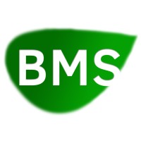 BMS LIFESCIENCE logo - Similar company to Neelson Pharma