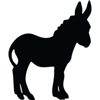 Pete & Pedro logo - Similar company to Stepup Cfo