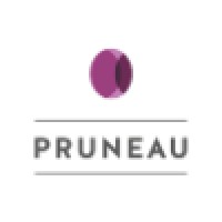 Pruneau