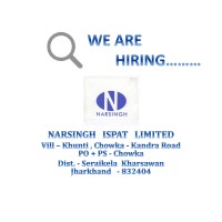 Narsingh Ispat Ltd(NIL) logo - Similar company to Anaadi Group