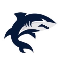 Digital Shark logo - Similar company to Digital Shark Technology Pvt. Ltd.