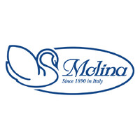 A. Molina Piumini & C. Spa logo - Similar company to Fbz Group