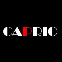 Caprio Furnitures Pvt. Ltd. logo - Similar company to Gencon India Pvt. Ltd.