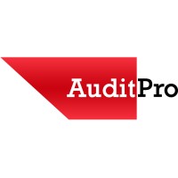 AuditPro logo - Similar company to Auditpro