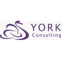York Consulting LLP logo - Similar company to Think Place