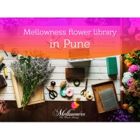 Mellowness Flower Library logo - Similar company to Fiorella- The Flower Boutique