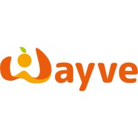 Wayve voedingsadvies logo - Similar company to Netwerk A2