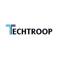 TechTroop Solutions Pvt Ltd logo - Similar company to Technoits