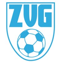 ZVG/Cagemax logo - Similar company to Assaban Talent Solutions
