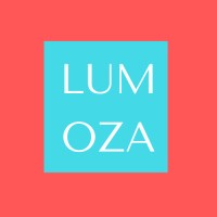 Lumoza Vibes logo - Similar company to D&S Colab