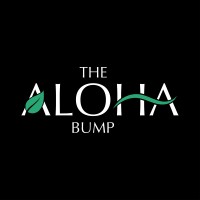 The Aloha Bump logo - Similar company to Infobrandz