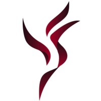 Petrichor- Techno-Cultural Fest of IIT Palakkad logo - Similar company to Advent Sctce