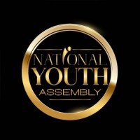 National Youth Assembly Bahamas logo - Similar company to Bearded Wisdom