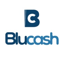 BluCash logo - Similar company to Blucash Solutions