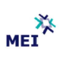 MEI (Mercado Electrónico Institucional) logo - Similar company to Acepay