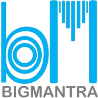 BigMantra logo - Similar company to Processity