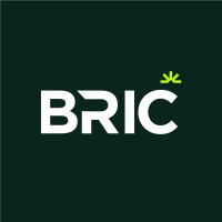 Bric Energy