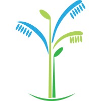 Jay Jorgensen, DDS logo - Similar company to Geobitmine Llc.