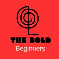 The Bold Beginners logo - Similar company to Hrwise Advisors Llc