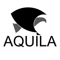 Aquila Gallery Limited logo - Similar company to Adengo Architecture