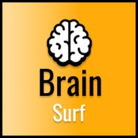 BrainSurf logo - Similar company to Brainsurf Informatics Inc