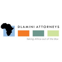 Dlamini Attorneys logo - Similar company to Tm Technologies (Pty) Ltd