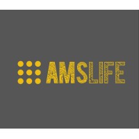 AMSLife LLC logo - Similar company to The $100 Solution™