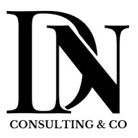 DN Consulting & Co logo - Similar company to Dn Consulting Group