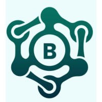 Blend IT Group, The B.I.G Company logo - Similar company to Perception Group Peru & Chile