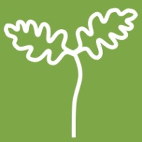 Little Oak Energy logo - Similar company to Ch Group Uk