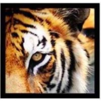 Mortgage Marketing Animals logo - Similar company to Cosmosify