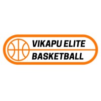 VIKAPU ELITE BASKETBALL ACADEMY KENYA logo - Similar company to Dc Dynamics