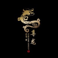 Zunlong Group logo - Similar company to Strategy And Execution Limited