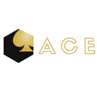 ACE New York logo - Similar company to Spero Financial Group Inc.