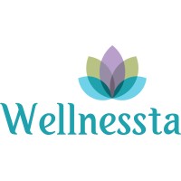 Wellnessta logo - Similar company to Medispa.Ai