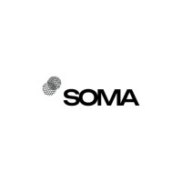 SOMA VISION logo - Similar company to Tedxbrno