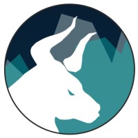 Bullstock logo - Similar company to Hype Digitech