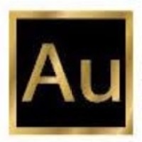 Augment Global Solutions logo - Similar company to Addison Transfer Solutions