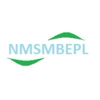 NMSM Business and Engineering Private Ltd Inc logo - Similar company to E Gurukul Cyber Learning Institute .Inc