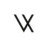 Virtual Xperience logo - Similar company to Virtual Logic 360