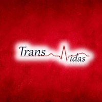 TransVidas logo - Similar company to Big American Com. Imp. E Exp. Ltda