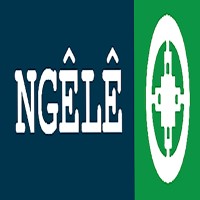 Bureau d'Etudes NGELE logo - Similar company to Mctp