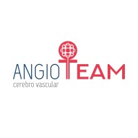 AngioTeam logo - Similar company to Arthromeds, S.A.