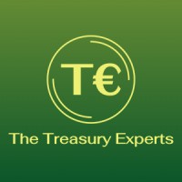 The Treasury Experts GmbH logo - Similar company to Matical España