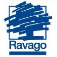 RAVAGO CHINA logo - Similar company to Hscc (Highsun)