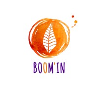 Boom'in logo - Similar company to Captimed