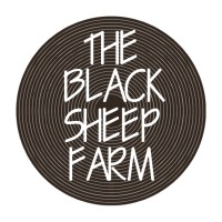 The Black Sheep Farm logo - Similar company to Perfect Square Studio